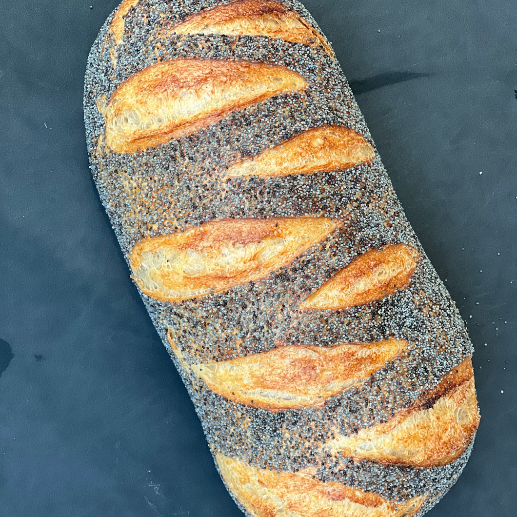 White Sourdough with Poppyseed Crust